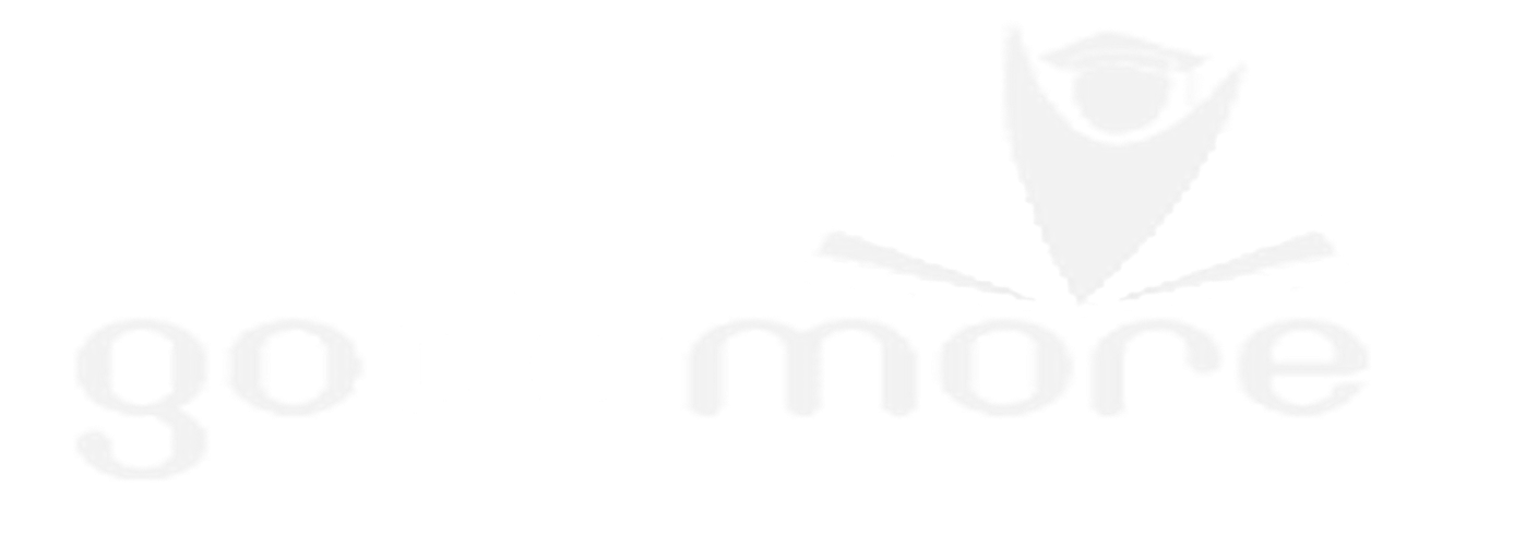 Luzaro Media